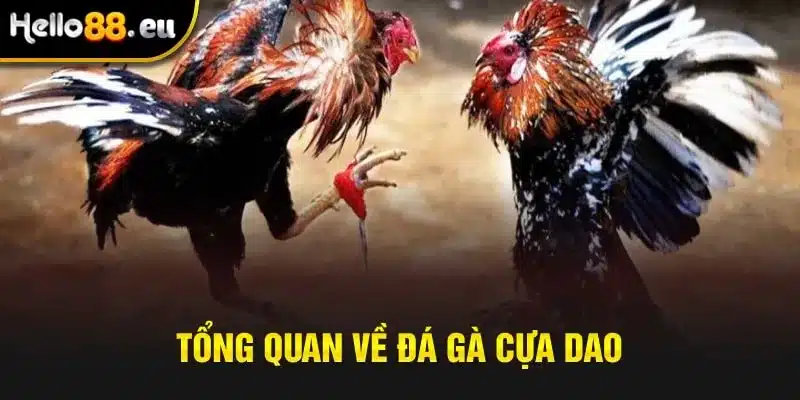 Ngày mai 17/6 em off theo lịch đã đăng ký ạ