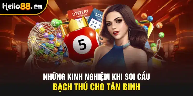 Những kinh nghiệm khi soi cầu bạch thủ cho tân binh