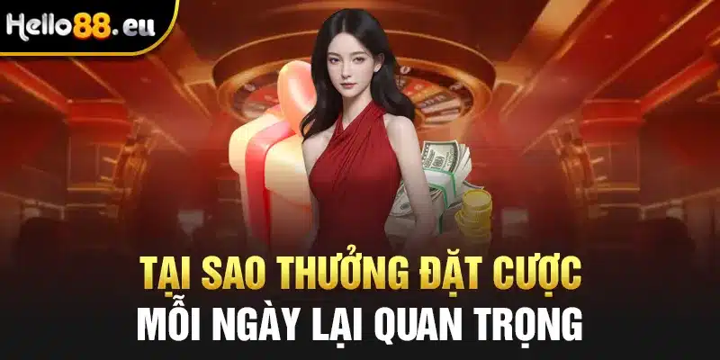 Tại sao thưởng đặt cược mỗi ngày lại quan trọng
