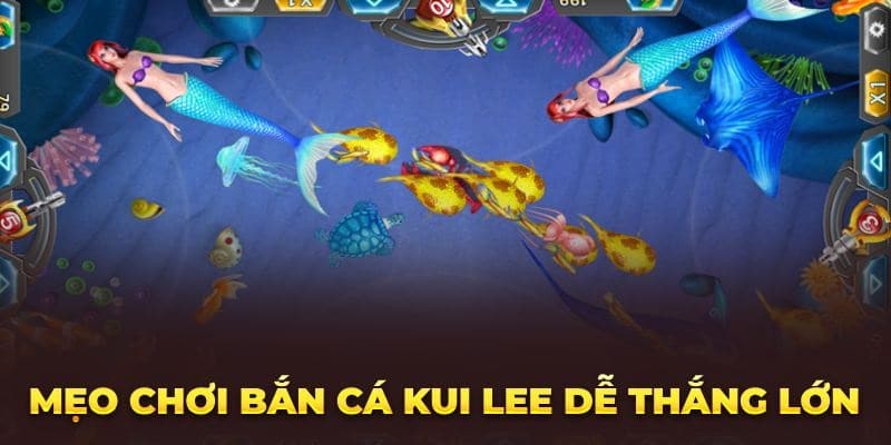 Bí quyết săn cá Kui Lee rinh thưởng